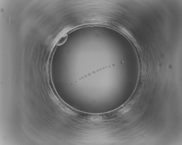 X0000057081291200509091238