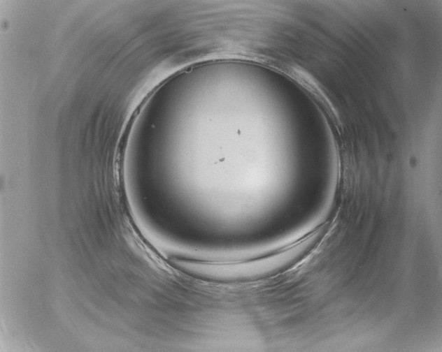 X0000057081292200509091238