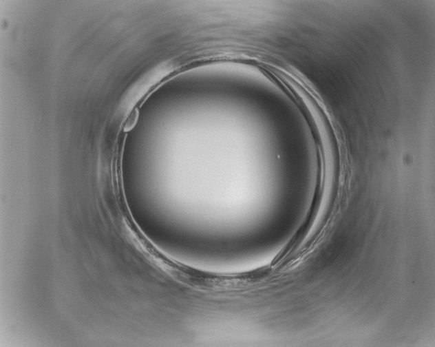 X0000057081293200509091238