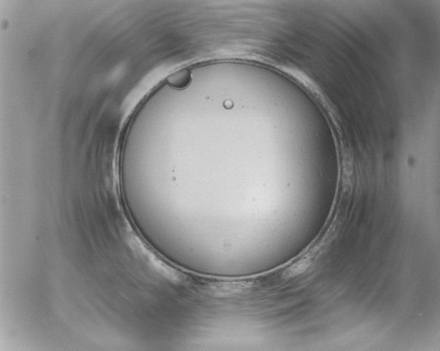 X0000057081294200509091238