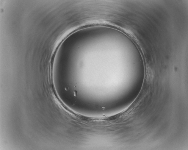 X0000057081295200509091238