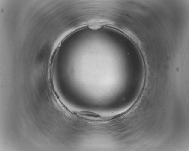 X0000057081296200509091238