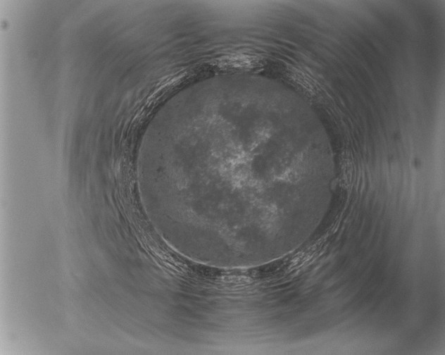 X0000057081297200509091237