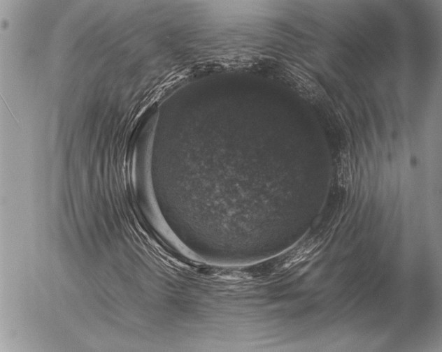 X0000057081298200509091237