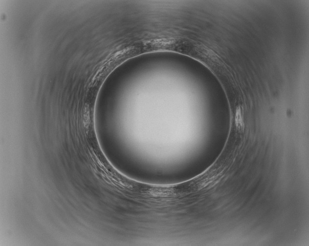 X0000057081299200509091237