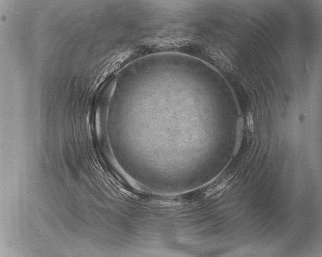 X0000057081300200509091237