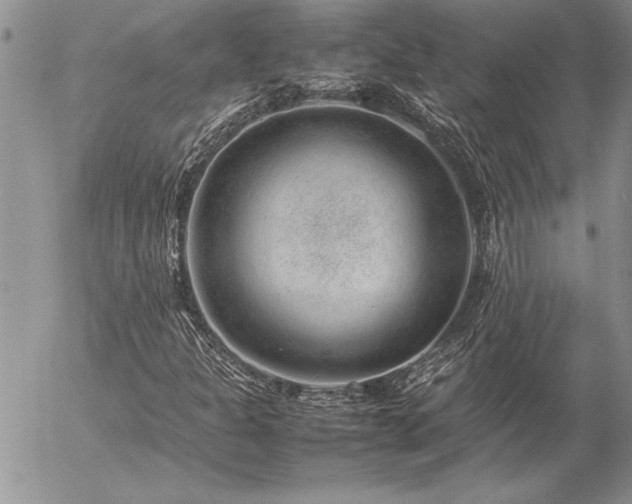 X0000057081301200509091237