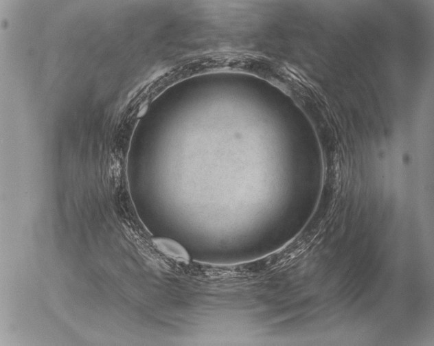 X0000057081302200509091237