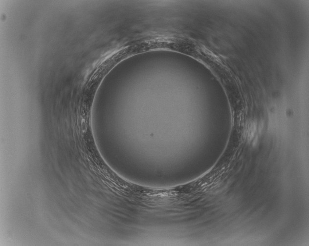 X0000057081303200509091237