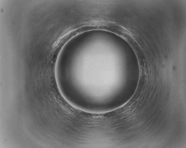 X0000057081304200509091237