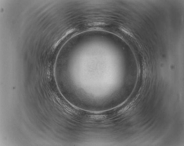 X0000057081305200509091237