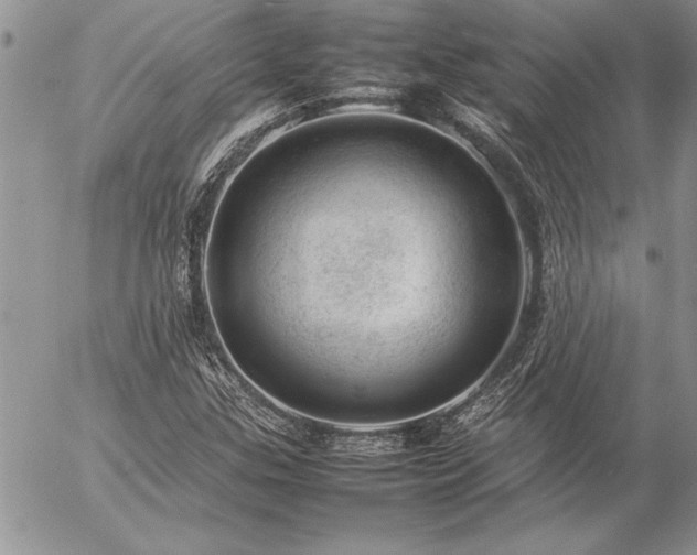 X0000057081307200509091237