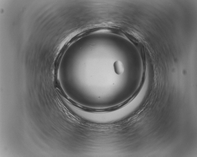 X0000057081308200509091238