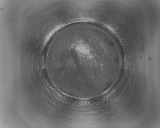 X0000057081310200509091238