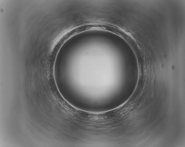 X0000057081311200509091238