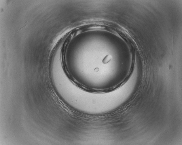 X0000057081312200509091238