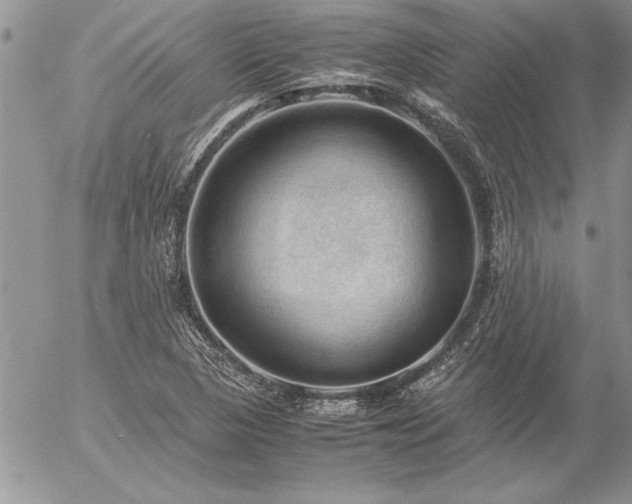 X0000057081313200509091238