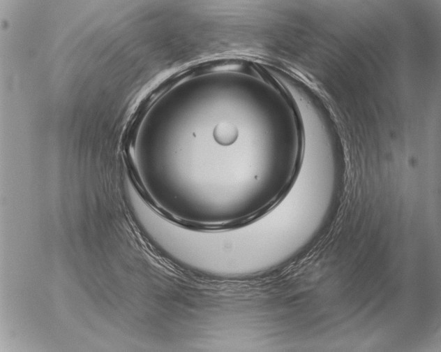 X0000057081316200509091238