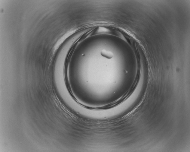 X0000057081317200509091238