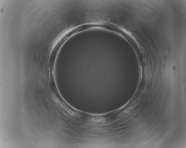 X0000057081319200509091238