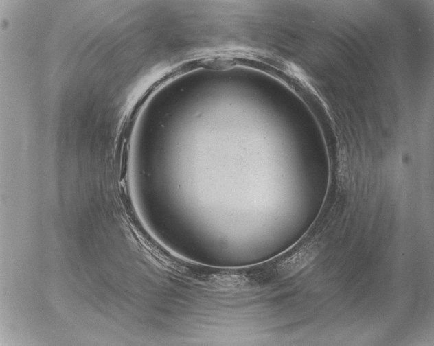 X0000057081320200509091238