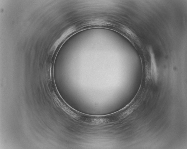 X0000057081322200509091238