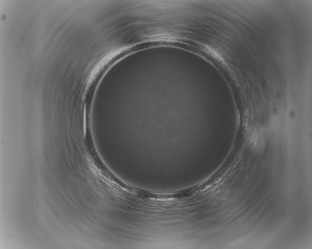 X0000057081323200509091238