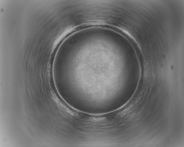 X0000057081325200509091238