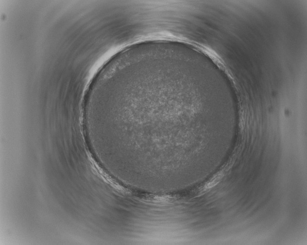 X0000057081326200509091238