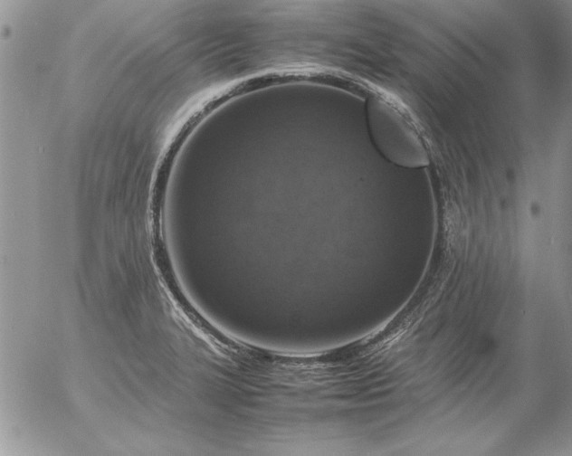 X0000057081327200509091238