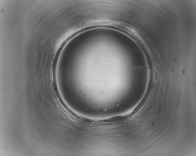 X0000057081328200509091238