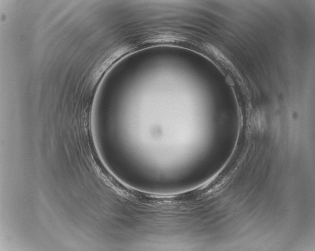 X0000057081329200509091238