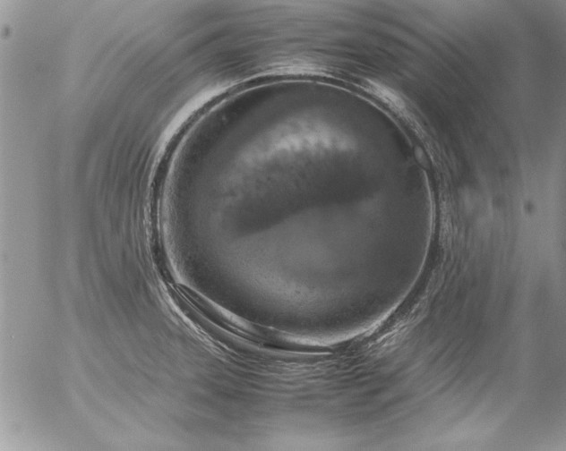 X0000057081331200509091238