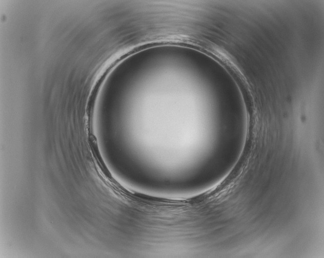 X0000057081332200509091238