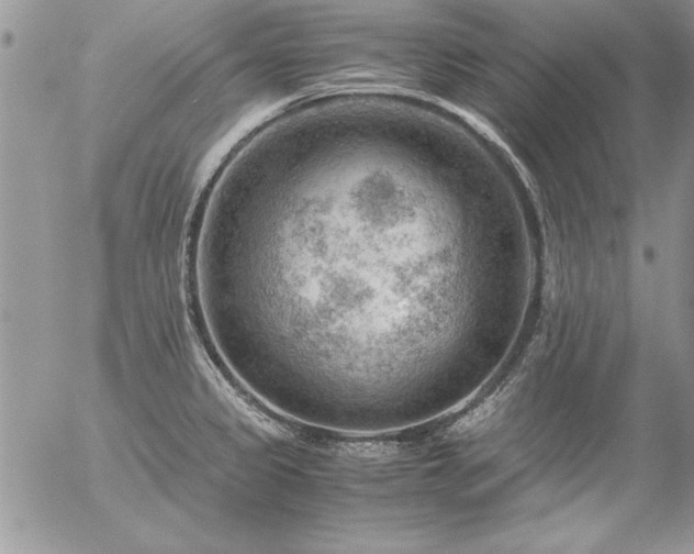 X0000057081333200509091238