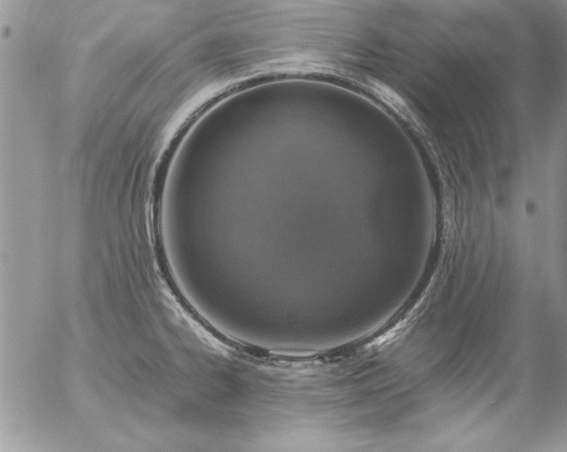 X0000057081334200509091238