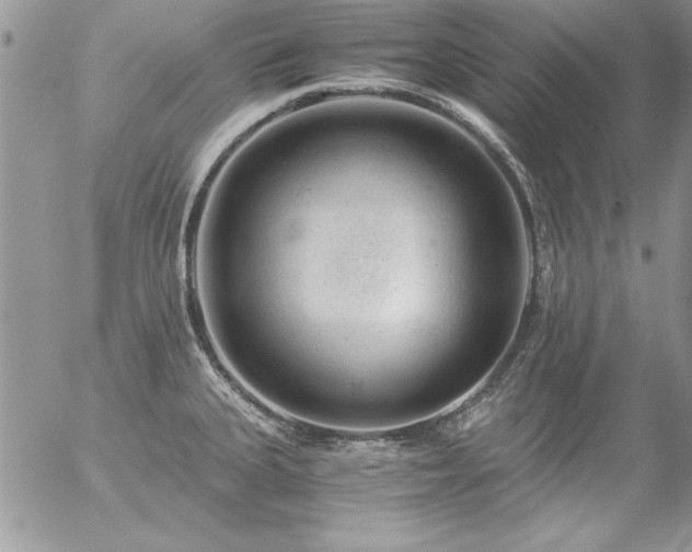 X0000057081335200509091238