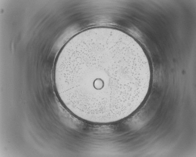 X0000057081338200509091238