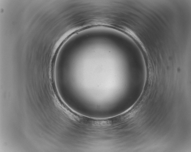 X0000057081339200509091238