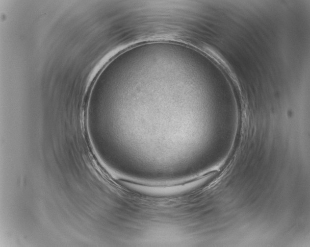 X0000057081340200509091238