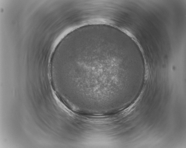 X0000057081342200509091238