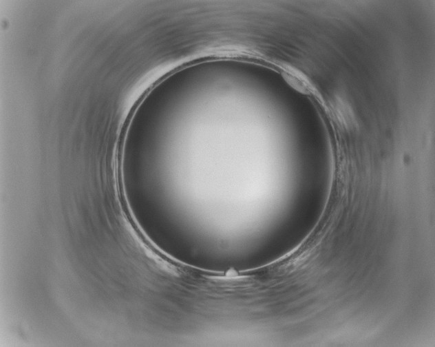 X0000057081343200509091238