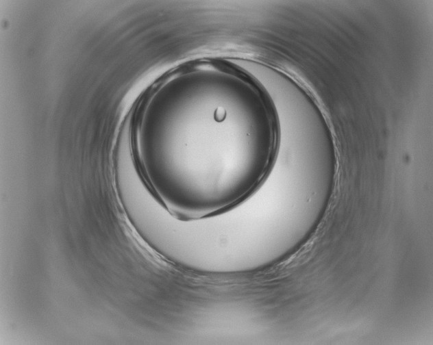 X0000057081344200509091238