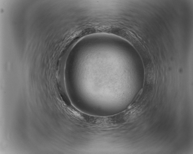 X0000057081345200509091237