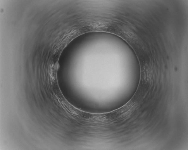 X0000057081346200509091237