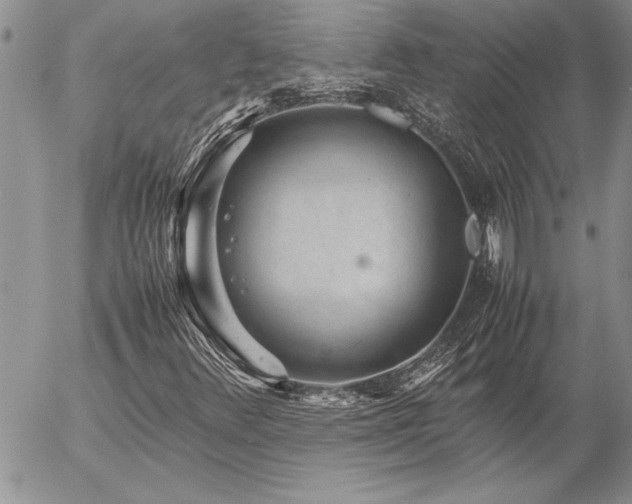 X0000057081348200509091237