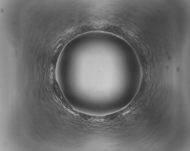 X0000057081349200509091237