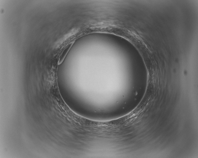 X0000057081350200509091237