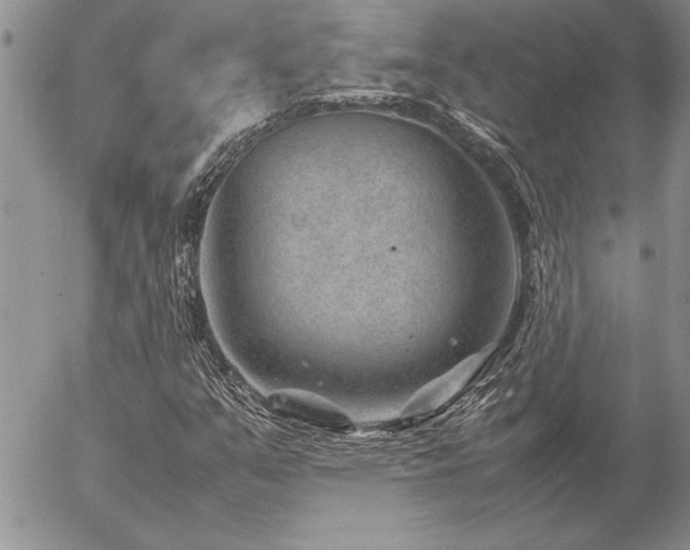 X0000057081351200509091237