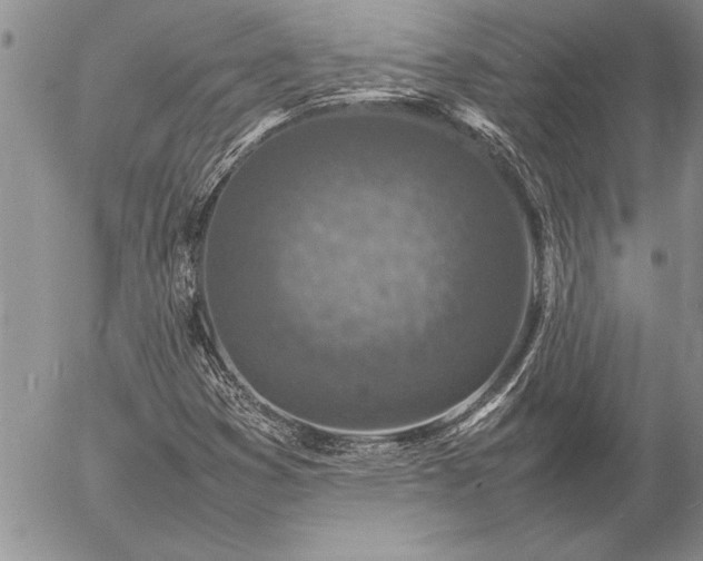 X0000057081353200509091237